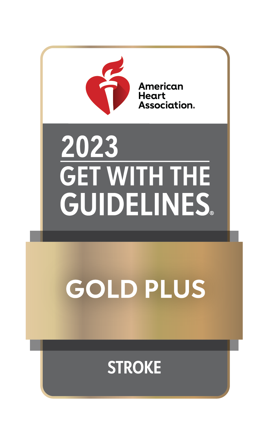 Get With the Guidelines Gold Plus for Stroke